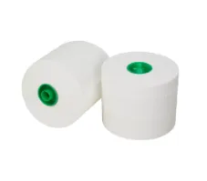Toiletpapier met dop cellulose 2 laags 100m 36 rol